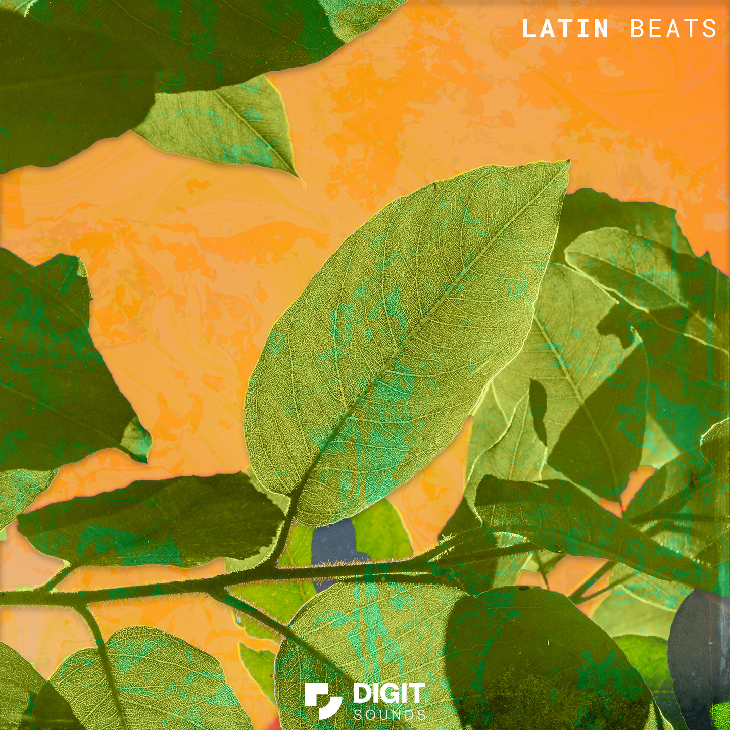 Latin Beats