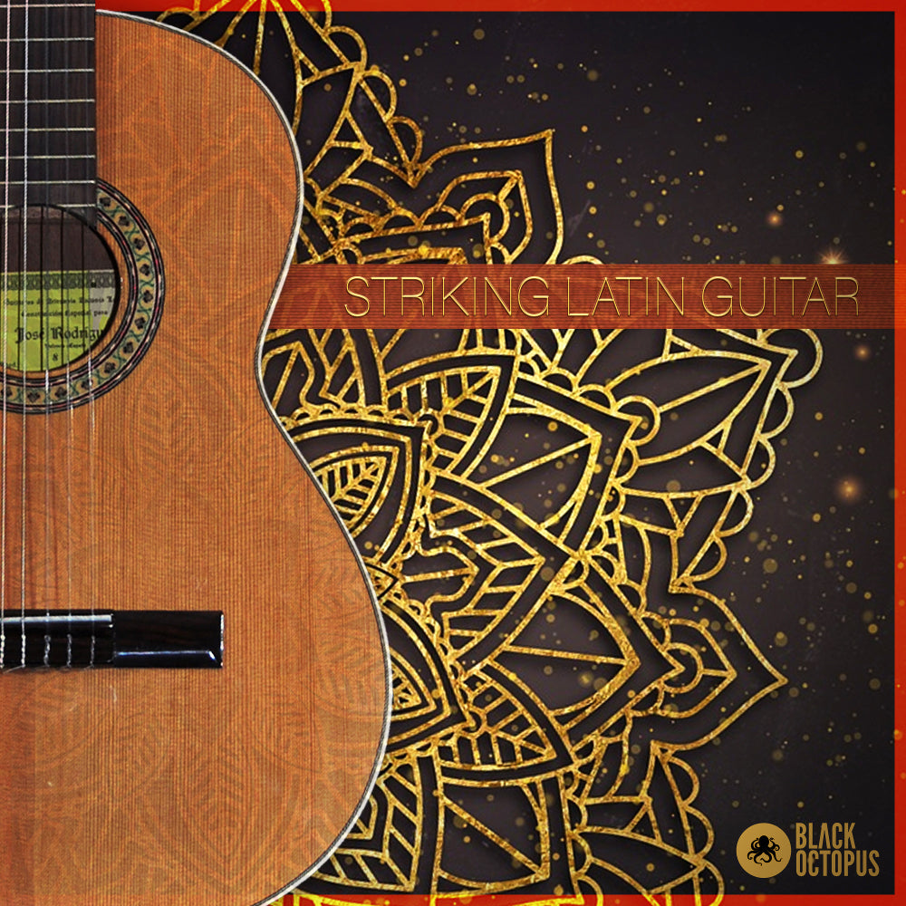 Striking Latin Guitar